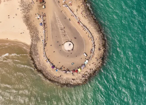 Misty Escapes of Tamil Nadu