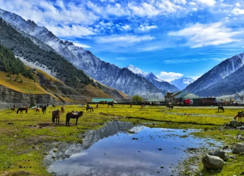 Splendid Kashmir – 4N/5D Voyage