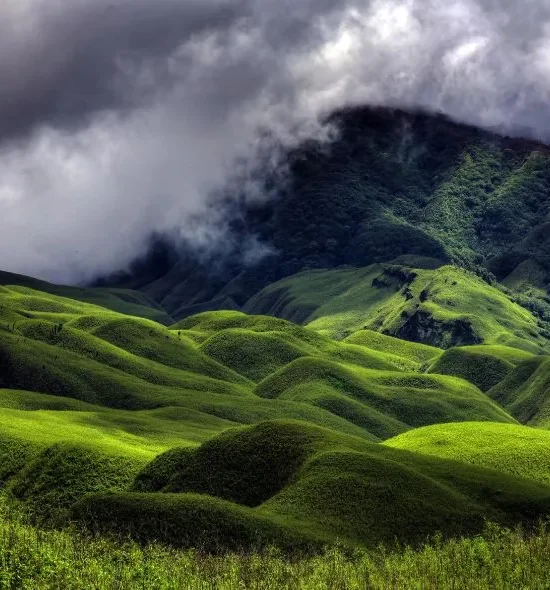 7N/8D Meghalaya with Kaziranga Wildlife Escape