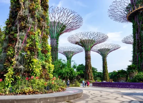 4N/5D Spectacular Singapore – City, Sentosa, Night Safari & More