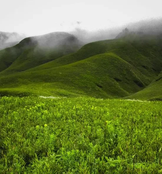 7N/8D Mystical Sikkim & Majestic Darjeeling