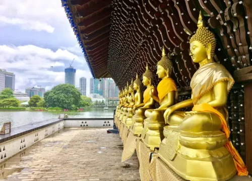 6N/7D Serene Sri Lanka – Heritage, Highlands & Coastline