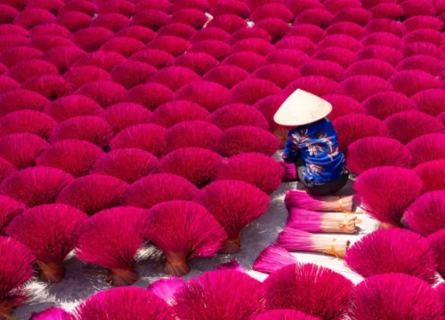 7N/8D Grand Vietnam Explorer – Hanoi, Ninh Binh, Ha Long, Da Nang & Saigon