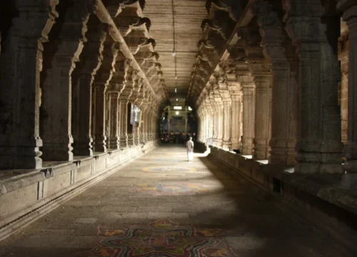 Serene Nilgiris Trail – Ooty, Coonoor & Kotagiri