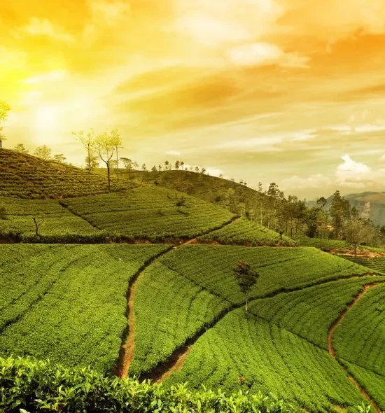 6N/7D Mesmerizing Arunachal Pradesh Himalayan Circuit