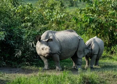 6N/7D Serene Meghalaya Sojourn