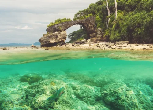 5N/6D Andaman Escape – Island Hopping, Coral Reefs & Coastal Charm