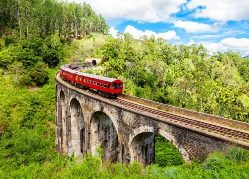 7N/8D Complete Sri Lanka – Temples, Tea & Tropical Bliss